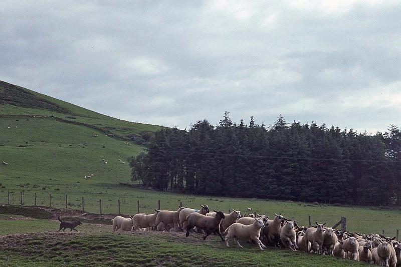 WT 2700 335-06 UK 1992-1.jpg